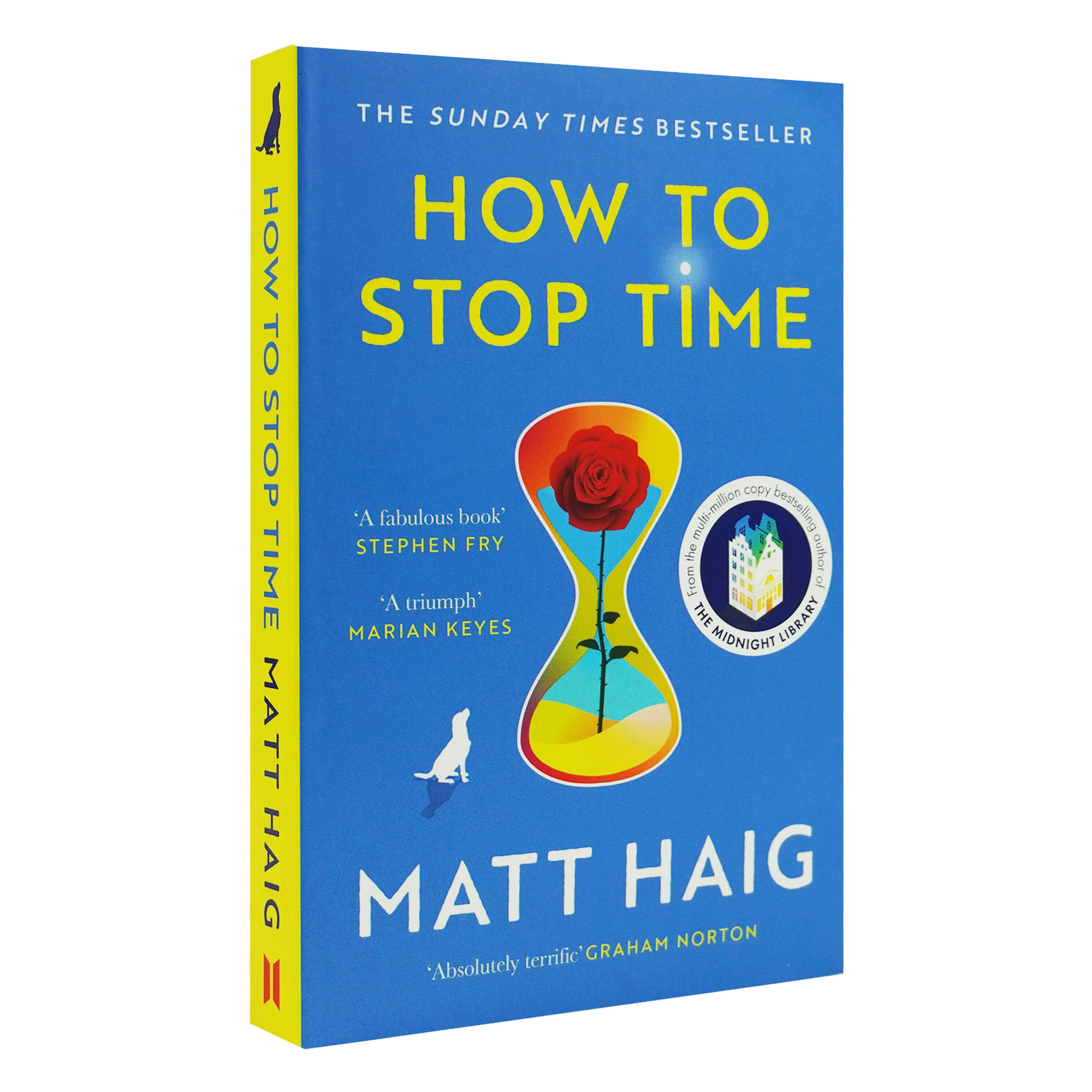 How to Stop Time - by Matt Haig (Paperback)