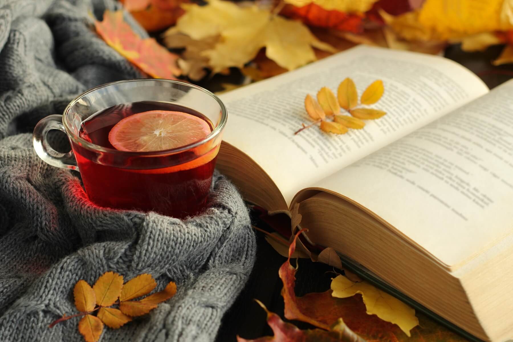 The Perfect Books for Autumn