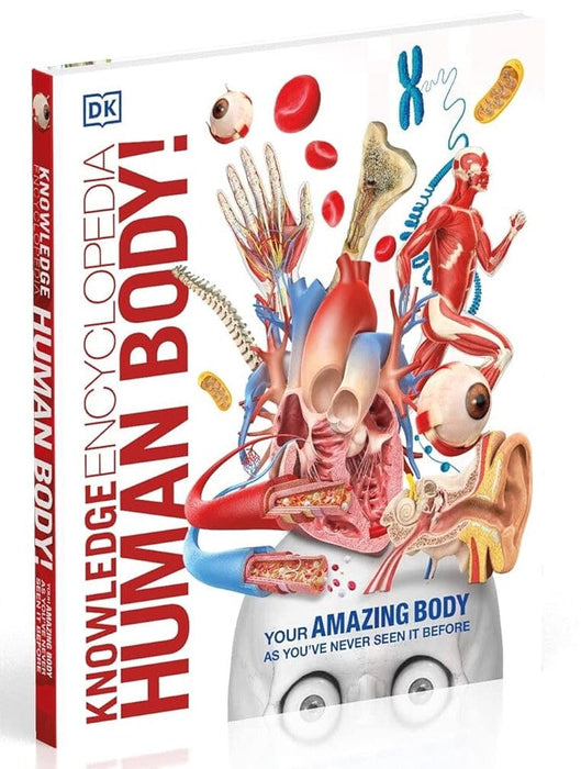 Knowledge Encyclopedia Human Body! by DK - Ages 9+ - Hardback 9-14 DK