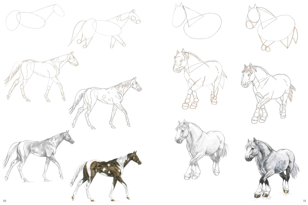 How to Draw Series: Horses, Farm Animals, Sea Creatures, Puppies & Kittens 5 Books Collection Set - Non Fiction - Paperback Non-Fiction Search Press Ltd