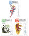 Draw 100: Manga, Dragons & Animals 3 Books Collection Set - Non Fiction - Paperback Non-Fiction Search Press Ltd