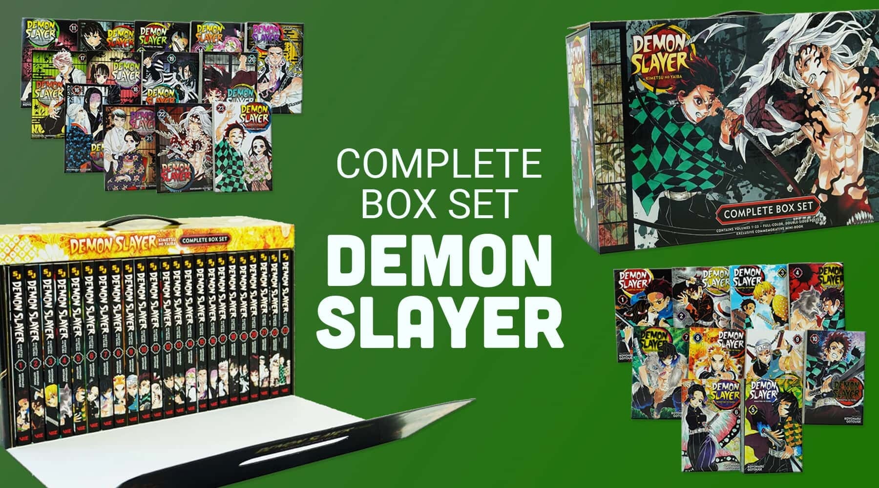 Demon Slayer Vol. 11 - Japanese Please