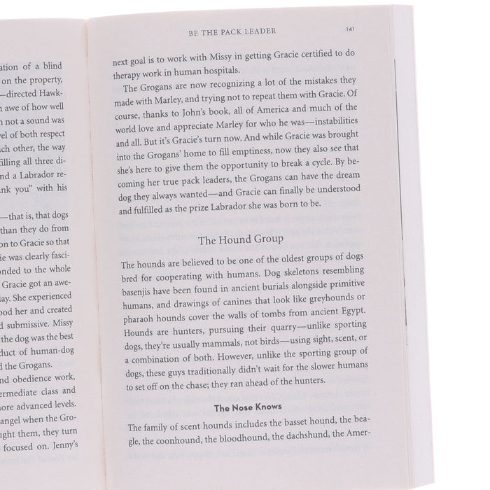 The Dog Whisperer Cesar Millan 3 Books Collection - Non-Fiction - Paperback Non-Fiction Hodder & Stoughton