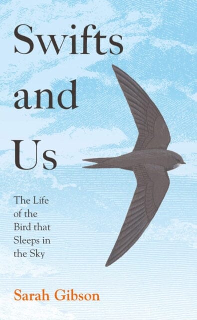 Swifts and Us: The Life of the Bird That Sleeps in the Sky by Sarah Gibson Extended Range HarperCollins Publishers