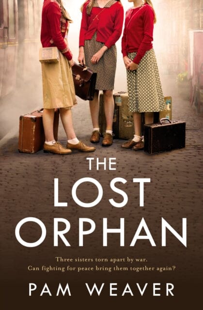 The Lost Orphan by Pam Weaver Extended Range HarperCollins Publishers