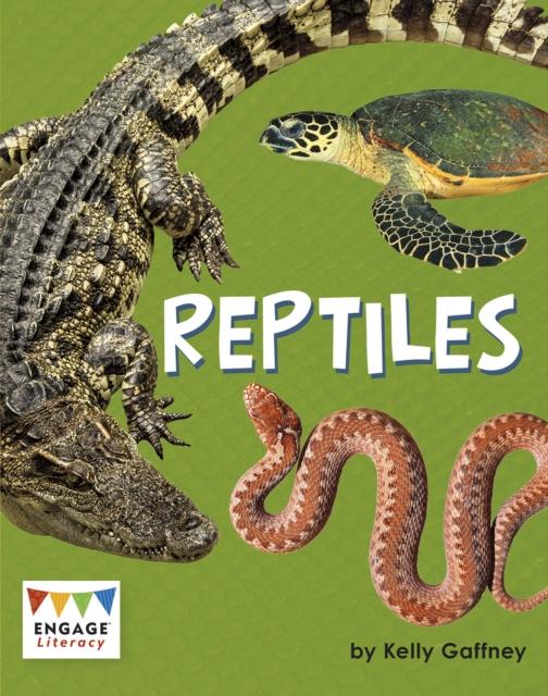 Reptiles Popular Titles Capstone Global Library Ltd