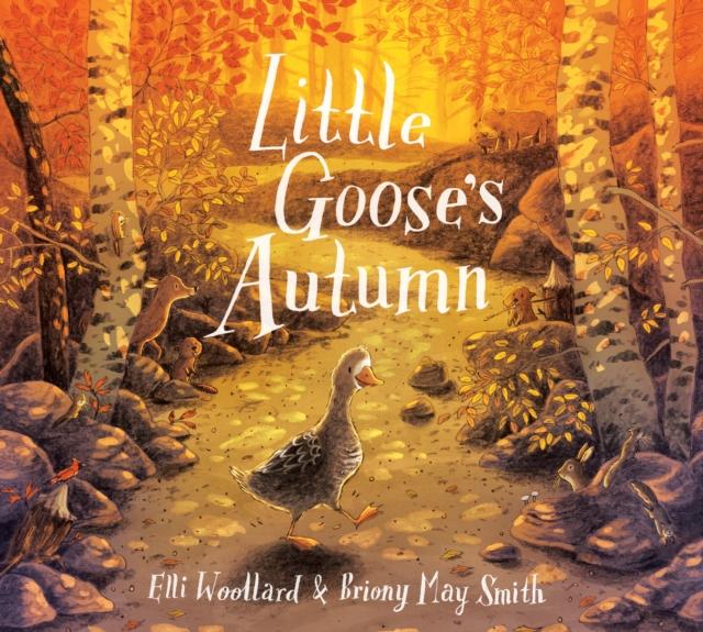 Little Goose's Autumn Popular Titles Pan Macmillan