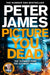 Picture You Dead : Roy Grace returns to solve a nerve-shattering case by Peter James Extended Range Pan Macmillan