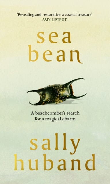 Sea Bean by Sally Huband Extended Range Cornerstone
