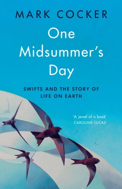 One Midsummer's Day : Swifts and the Story of Life on Earth by Mark Cocker Extended Range Vintage Publishing