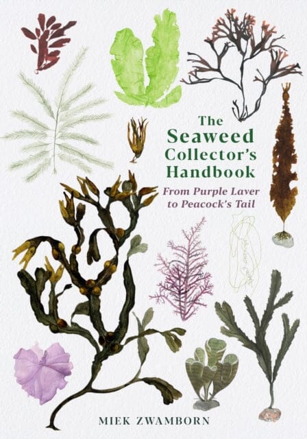 The Seaweed Collector's Handbook: From Purple Laver to Peacock's Tail by Miek Zwamborn Extended Range Profile Books Ltd