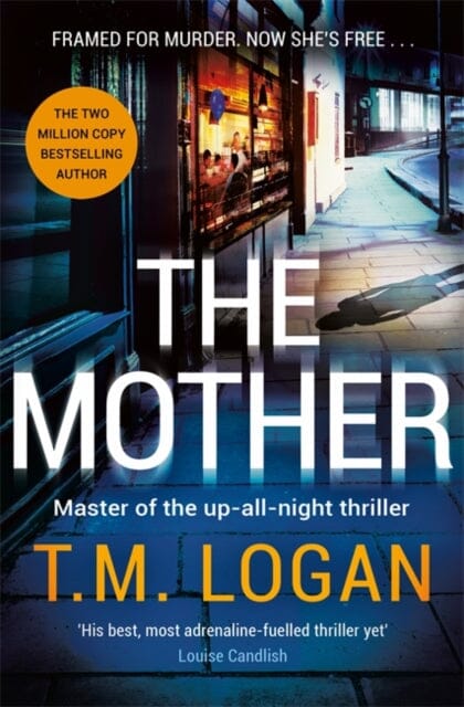 The Mother : The relentlessly gripping, utterly unmissable up-all-night thriller perfect for summer holidays Extended Range Bonnier Books Ltd