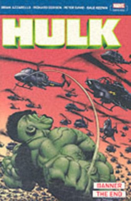 Incredible Hulk: Banner & The End by Peter David Extended Range Panini Publishing Ltd