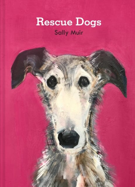 Rescue Dogs by Sally Muir Extended Range HarperCollins Publishers