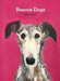 Rescue Dogs by Sally Muir Extended Range HarperCollins Publishers