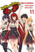 High School DxD, Vol. 11 by Hiroji Mishima Extended Range Little, Brown & Company