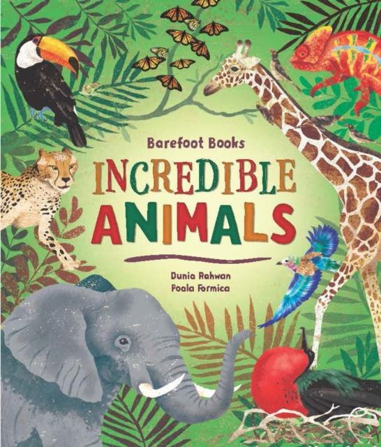 Barefoot Books Incredible Animals — Books2Door