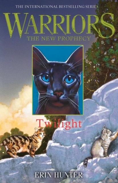 Warriors Cats: Series 3 & 4 (Power of Three & Omen of the Stars) by Er —  Books2Door